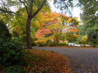 Exeter University