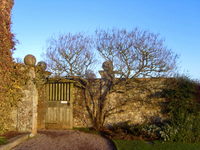 Killerton House Garden near Exeter