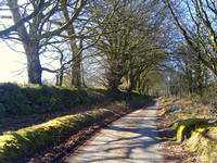 Winter lane nr Chagford