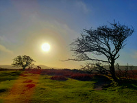 Winter sunrise near Exeter