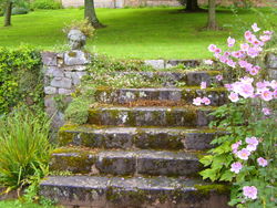 Beauty in a Devon garden.