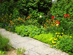 A greener front garden helps you to feel relaxed