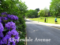 Exeter acupuncturist: Clydesdale Ave