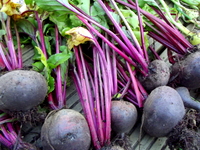 Beetroot.