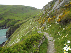 Daily brisk walking helps avoid joint problems