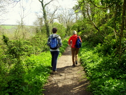 A walk and a talk in nature ticks several boxes.