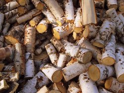 Birch logs for a traditional wood-fired sauna: frequent saunas protect men against dementia.