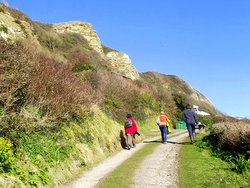 Physical activity lowers the risk of several cancers