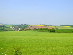 Devon pasture: evidence supports acupuncture for hay fever.