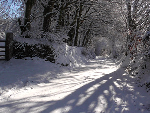 Dartmoor offers endless, bracing winter hiking routes.
