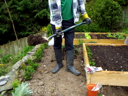 Acupuncture in Exeter for back pain: gardening can be hard on the back.