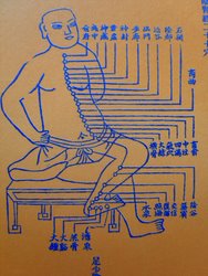 Acupuncture in Exeter: people ask what does acupuncture treat - here is an ancient Chinese depiction of the acupuncture meridians.