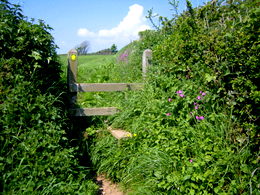 Exercising in nature: Devon offers a wealth of opportunities for outdoor exercise.